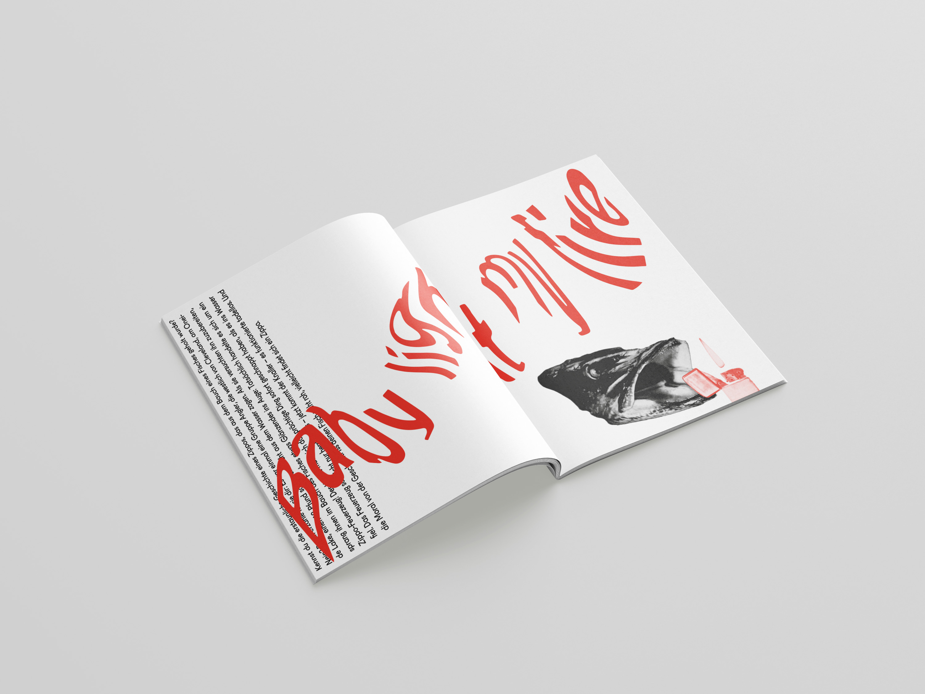 New Circle Startpage